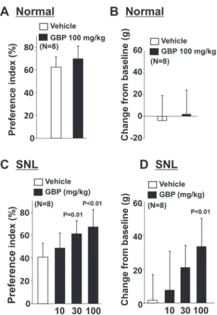 Fig. 4 Effects of gabapentin on preference index with the object on short route and hypersensitivity after SNL surgery