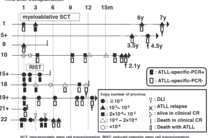 Fig. 2    Quantification of HTLV-1 provirus load in the peripheral blood of recipients and Minimal residual disease (MRD) of  ATL after transplantation 32） 
