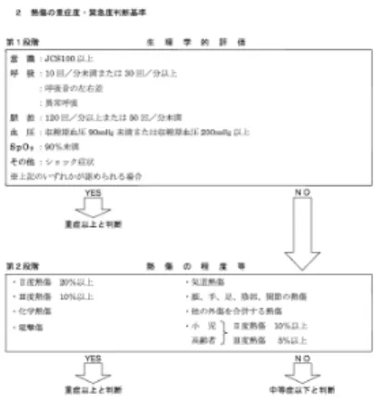 Figure 5  Example of Proposed Triage Chart in 2004 