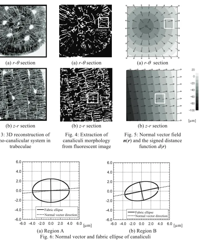 Fig. 5: Normal vector field  n(r) and the signed distance 