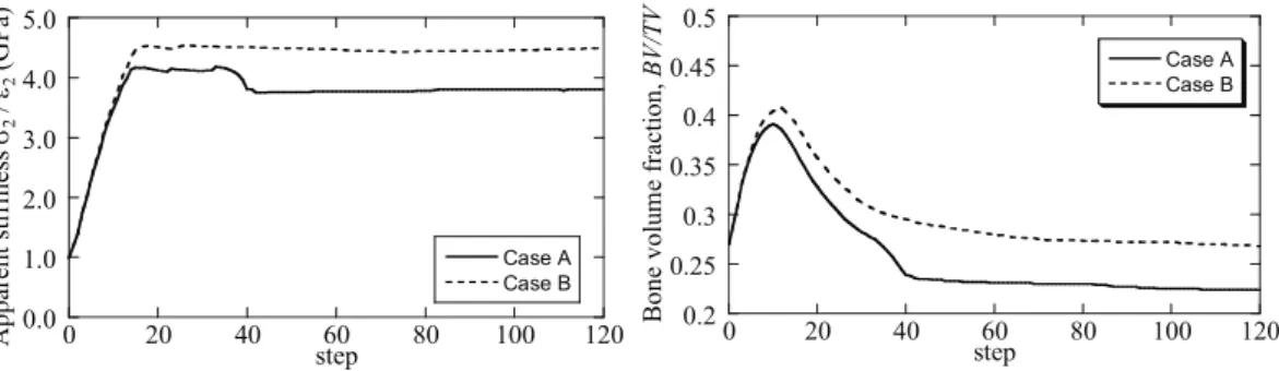 Fig. 10: Apparent stiffness and bone volume fraction 