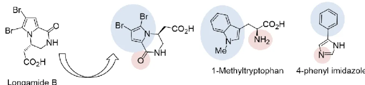 Figure 16.  4-フェニルイミダゾール（橙色） 、longamide B（水色）と IDO1 とのドッキングモデル  ポケット A を構成するアミノ酸、Tyr126、Val130、Phe164、Leu234（緑色）、ポケット A の脂溶 性領域（薄緑） 、ヘム鉄（黄色） 、溶媒側のアミノ酸 Arg231（水色） 