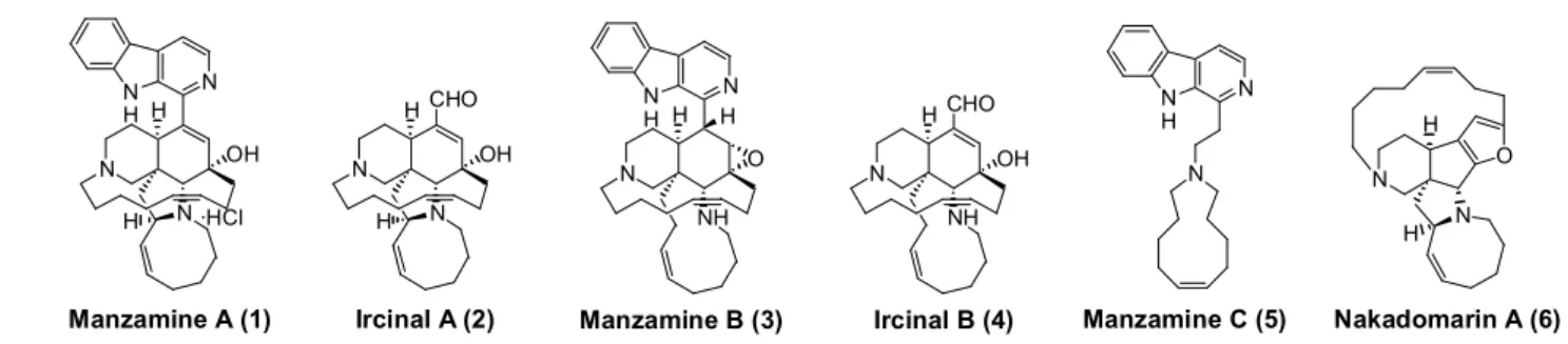 Figure 1.  Structure of Manzamine A, B, C, Ircinal A, B and Nakadomarin AManzamine A (1)Ircinal A (2)Manzamine B (3)Ircinal B (4)