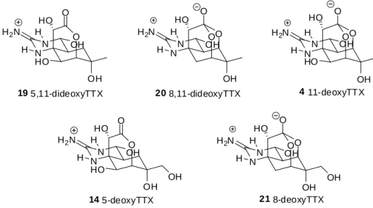 Figure 1-4. Structures of deoxyTTXs 