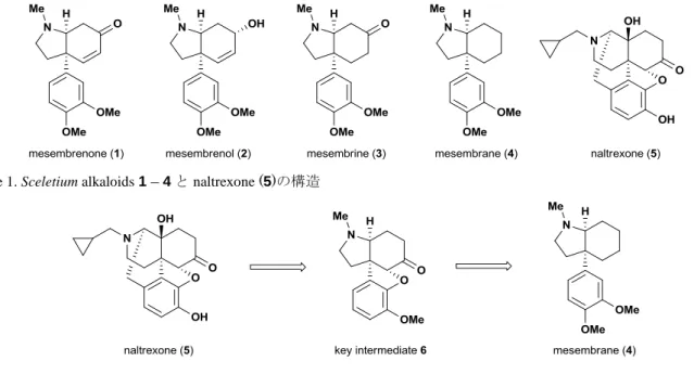 Figure 1. Sceletium alkaloids 1 – 4 と naltrexone (5)の構造