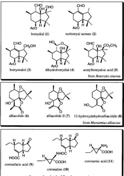 Fig. 1. Hidrindanones Isolated from a Metabolite of Microbials型の分子内閉環反応により，各種の置換基を有するヒドリンダノンの構築を詳細に検討した．さらにこの反応で得られたヒドリンダノン中間体を用いて，菌類代謝産物である coronafacic acid (9）の全合成を完了した．これらの結果について，順次述べる．1.エノンアルデヒドの分子内環化反応によるヒドリンダンの構築Botrydial (1)11)は花，果物，野菜などに寄生する植物病原菌 