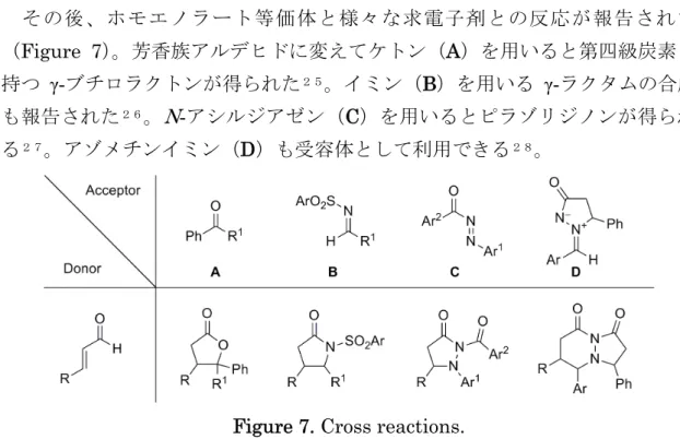 Figure 7. Cross reactions.  第５節  アシルアゾリウム種   前節で述べたホモエノラート等価体の反応における中間体アシルアゾリウム 種の構造はアシル化された NHC であり、チアミンピロリン酸依存性酵素反応に おける重要中間体として生体内でのアシル化反応に関与する ２９ （ Figure 8）。  Figure 8