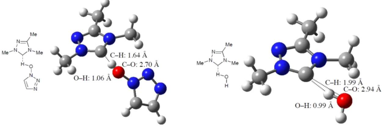 Figure 10. Calculated hydrogen-bond complexs. 