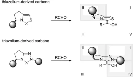 Figure 3. Mapping of the steric space around the carbene center.    これまでに開発された主なキラル NHC 前駆体の構造を Figure 4 に示す。 Enders らが報告したキラルトリアゾリウム塩 A １０ が草分けとなり、これよりキ ラルトリアゾリウム塩の開発が盛んになった。 Leeper らは二環性トリアゾリウ ム塩 B の合成法を報告した １１ 。この骨格は不斉誘起に極めて有効なことがわか り、 Enders ら １２ 及び Ro