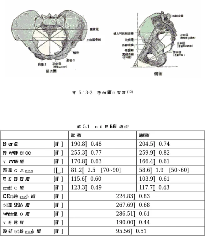図 5.13-2 骨盤の基準線 (12) 表 5.1 各基準船平均長  女性 男性 骨盤高       [㎜] 190.8±0.48 204.5±0.74  最大骨盤幅    [㎜] 255.3±0.77 259.9±0.82  外矢状径      [㎜] 170.8±0.63 166.4±0.61  恥骨下角度     [°] 81.2±2.5  [70~90] 58.6±1.9  [50~60]  真結合線径     [㎜] 115.6±0.60 103.9±0.61  入口横径     [㎜] 123