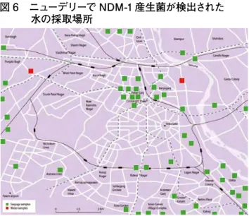 図 8　modified SMA disk 法
