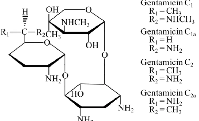 Figure 5  Chemical structures of GMs. 
