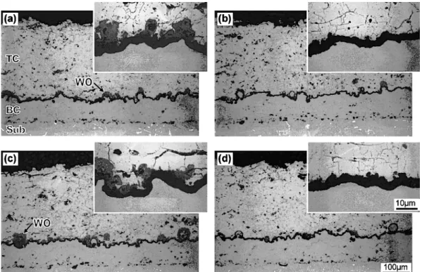 Fig. 3 Typical cross sectional microstructures by back scattered electron image of various TBC systems subjected to different RHT after the 1100° C×100 h isothermal oxidation test; (a) MZPV1, (b) MZPV2R, (c) MZPV2T and (d) MZPV2H