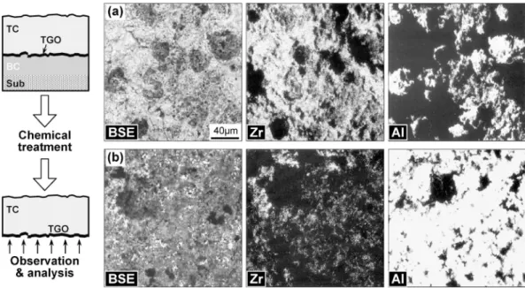 Fig. 9 Influence of RHT conditions on the growth behavior of initial Al 2 O 3 during the RHT process.