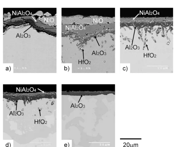 Fig. 3 Crosssectional images of Ni20 atAlPtHf alloys 500 1h oxidation cycles at 1150° C: (a) Ni20Al; (b) Ni20Al0.3Hf; (c) Ni 20Al5Pt0.3Hf; (d) Ni20Al10Pt0.4Hf; and (e) Ni20Al20Pt0.4Hf.