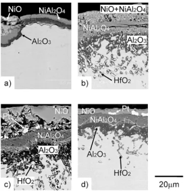 Fig. 4 Crosssectional images of Ni15 atAlPtHf alloys 500 1h oxidation cycles at 1150° C: (a) Ni15Al; (b) Ni15Al 0.3Hf; (c) Ni15Al5Pt0.3Hf; and (d) Ni15Al10Pt0.4Hf.