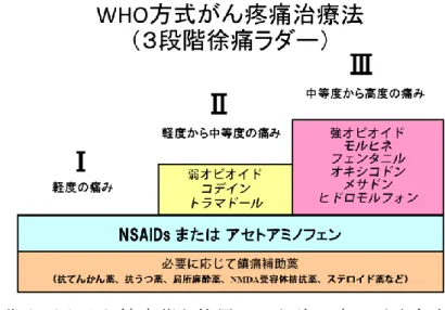 表 2   WHO 方式鎮痛薬使用の 5 原則 