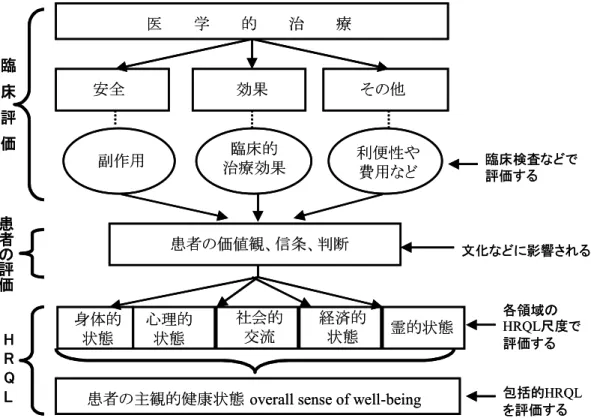 図 3  患者の HRQL モデル 