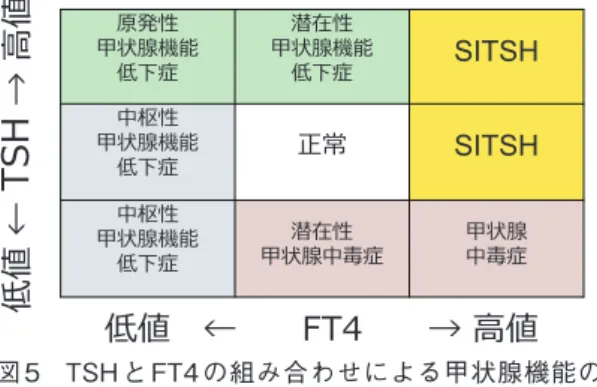 図 5　TSH と FT4 の組み合わせによる甲状腺機能の 分類　 SITSH: 不適切 TSH 分泌症候群5．甲状腺検査（1）TSH、FT4、FT3 の基本的な関係日常診療で用いる甲状腺の血液検査は TSH、FT4、FT3、TRAb、TgAb（抗サイログロブリン抗体）、TPOAb　（抗甲状腺ペルオキシダーゼ抗体）の 5種類である。T4と T3は遊離型（Free）を測定する。他にサイログロブリンとカルシトニンがある。TSH、FT4、FT3は基本的に、ネガティブフィードバックにより逆の動きを示す。甲状腺中毒症