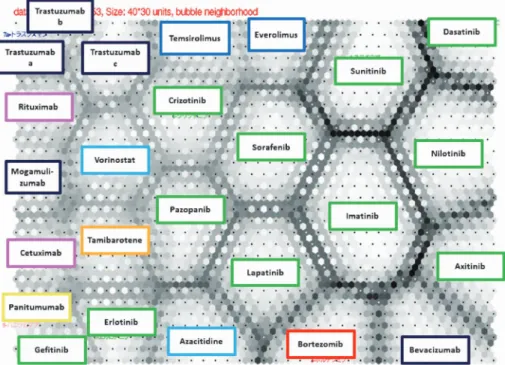Fig. 3. Adverse Reaction SOM of 23 Molecularly Targeted Anticancer Agents（Presence/Absence Version, as of March 2013)