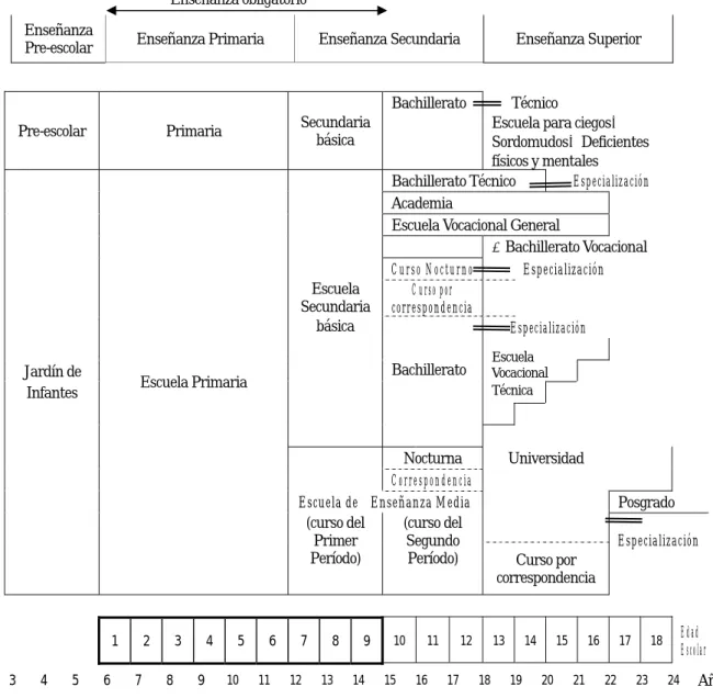 Gráfico del sistema de enseñanza de la escuela en Japón 