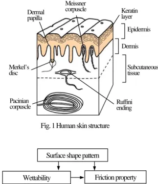 Fig. 1 Human skin structure  