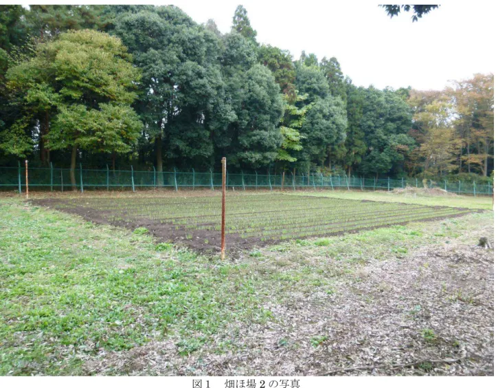 図 畑 場 2 写真 