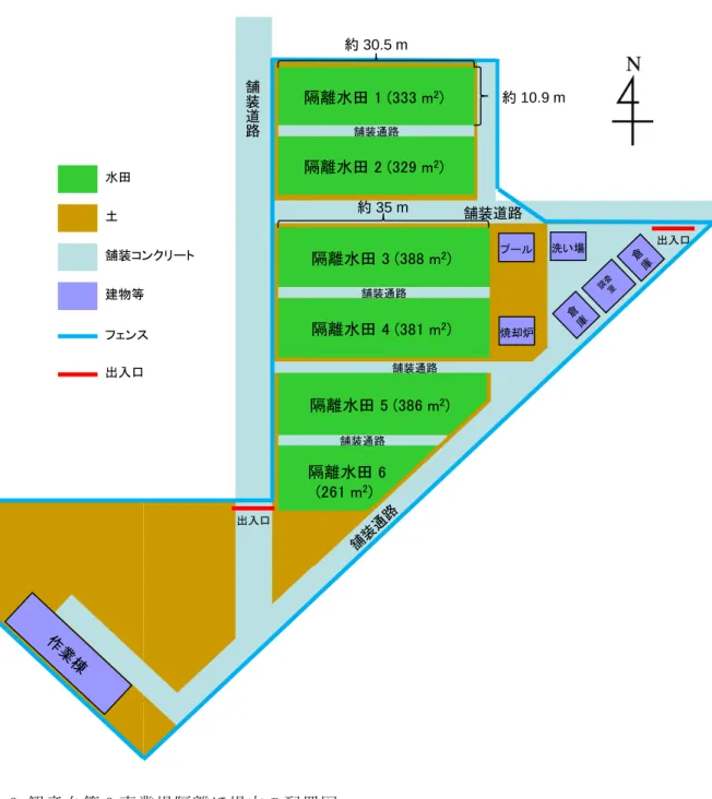 図 3 観 音 台 第 3 事 業 場 隔 離 ほ 場 内 の 配 置 図  舗装通路舗装道路 舗装道路舗装通路舗装通路舗装通路隔離水田1 (333 m2) 隔離水田2 (329 m2) 隔離水田3 (388 m2) 隔離水田4 (381 m2) 隔離水田5 (386 m2) 隔離水田6(261 m2) 焼却炉 洗い場 出入口出入口プール土舗装コンクリート水田建物等フェンス出入口約30.5 m約35 m約10.9 m