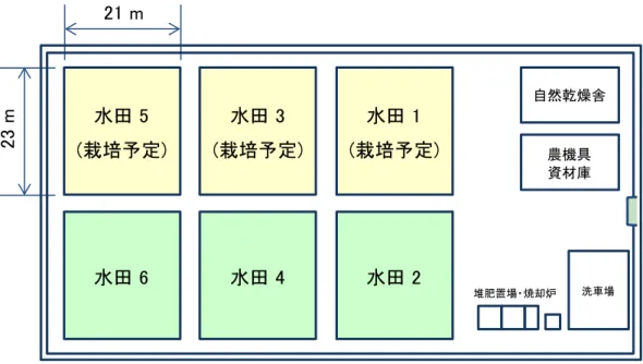 図  5  観 音 台 第 4 事 業 場 高 機 能 隔 離 ほ 場 内 の 配 置 図水田5(栽培予定)水田3(栽培予定) 水田 1 (栽培予定) 水田6水田4水田223 m21 m 自然乾燥舎農機具資材庫 洗車場堆肥置場・ 焼却炉