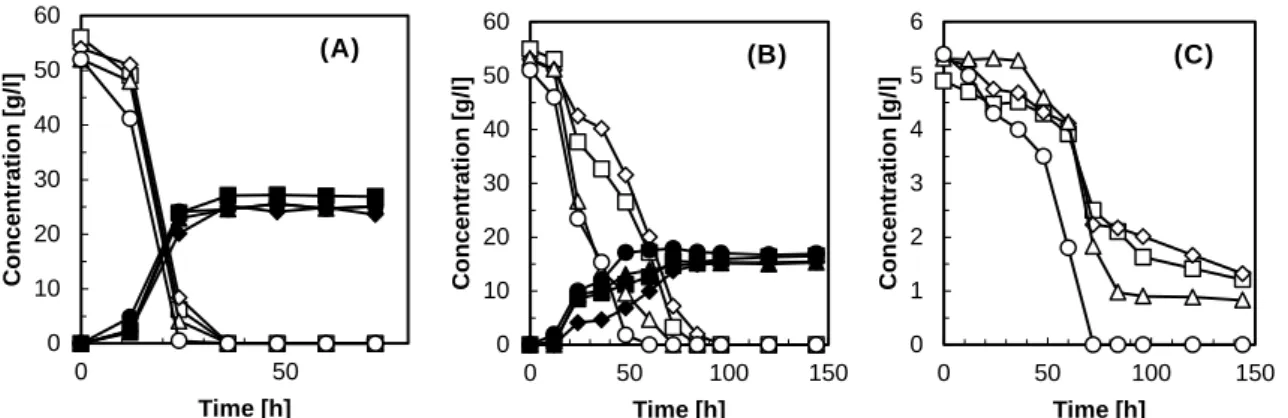Fig. 56. Ethanol production utilizing cedar hydrolysates by S. cerevisiae X33 (A) and P