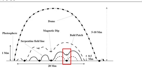 図 1.9 エラーマンボムの磁場構造 (resistive emerging flux tube モデル ) *3 . 波打った形状で浮上してき た磁束管の隣り合う Ω 型ループ間で磁気リコネクションが発生した結果 , 彩層の深い領域で加熱が起こ る 