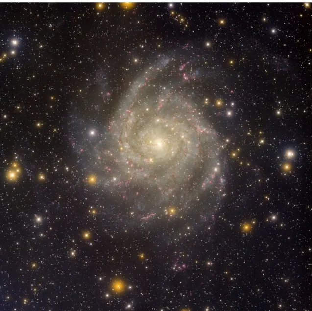 図 6 http://apod.nasa.gov/apod/ap080109.html より ic342 。 inclination がほぼ M51 と等しくフェイス オン銀河であり、我々の銀河から 3.9Mpc と M51 の半分ほどの距離である IC342 は我々から 3.9Mpc 程離れている Sc 型の銀河である。近傍に 10 以上もの銀河が 存在する。これらの近傍銀河の位置と視線速度の差は以下の図の様になっている。図 7 は 我々の銀河から見た ic342 とその周辺銀河の位置関係を示しており、図