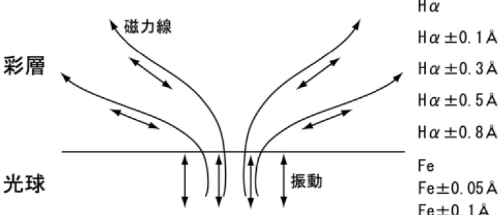 図 5.8 を見ると、光球の 5 分振動の成分は、波長による変化があまり見られない。一方、 彩層の 3 分振動の成分は、Hαの波長中心からのオフセット量が大きいものは 3 分振動と 共に 5 分振動の成分が見られるが、オフセット量が小さくなるに従って、5 分振動の成分 は弱くなっている様子が分かる。これは、波長中心からのオフセット量が小さくなると、 彩層の上層を見ていることになる為である。光球の 5 分振動であまり変化が見られないの は、どちらの波長も薄い光球の中で高さがあまり変わらない為であると考えられる