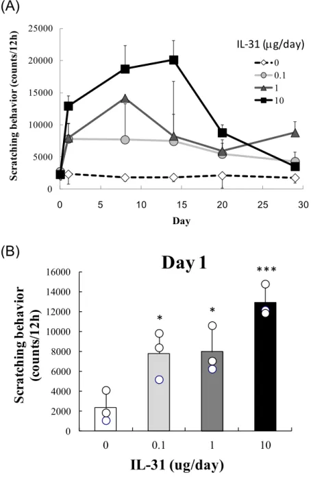 Figure 1  IL-31 持続投与による掻痒行動の誘発 