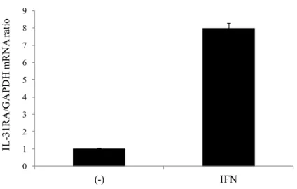 Figure 9  HaCaT 細胞における IL-31RA mRNA の発現 