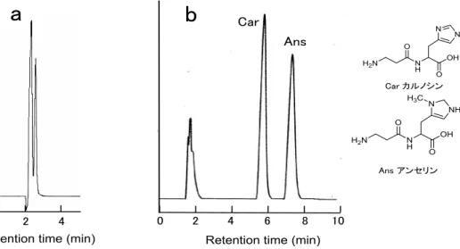 図 2  カルノシン類縁体の HPLC による分離  a： ODS カラムを使用（移動相： 0.1% TFA aq.）   