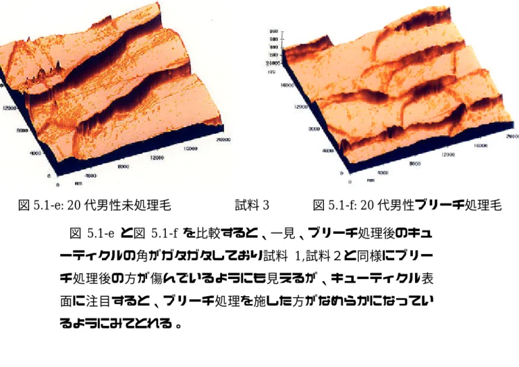 図 5.1-e と図 5.1-f を比較すると、一見、ブリーチ処理後のキュ ーティクルの角がガタガタしており試料 1,試料２と同様にブリー チ処理後の方が傷んでいるようにも見えるが、キューティクル表 面に注目すると、ブリーチ処理を施した方がなめらかになってい るようにみてとれる。 以上のような毛髪表面の微細形状の相違、つまり損傷具合を評価 する為に 20μm 四方（測定面全体）と 5μm 四方（キューティク ル 1 枚）の各データのパラメータ解析を行った。結果を次に示す。 図  5.2−(a),(b)   