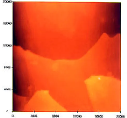 図 A.1-(e).  サンプル e,20μm 四方 AFM 画像  図 A.1-(f).  サンプル f,20μm 四方 AFM 画像