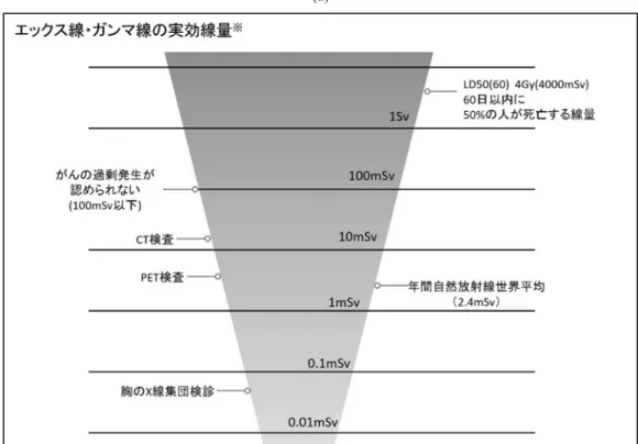 Fig. 1  The quick charts used in questionnaire.  (a) Logarithmic chart, (b) Area chart 