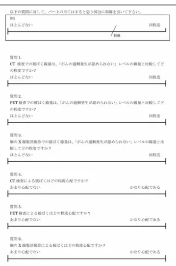 Fig. 2  The questionnaire used in this study.   