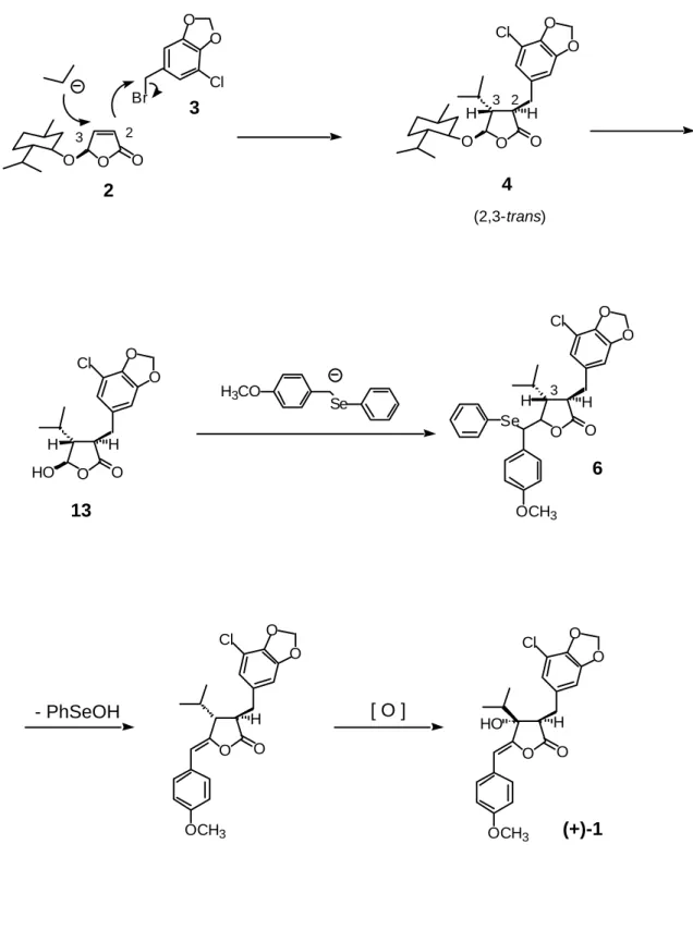 Fig.  4.    Synthetic   Plan