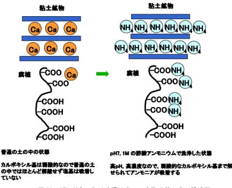 図 20 20． 20 20 ． ．CEC ． CEC CEC 測定 CEC 測定における 測定 測定 における陽 における における 陽 陽イオンの 陽 イオンの イオンの イオンの交換 交換吸 交換 交換 吸着反応 吸 吸 着反応 着反応 着反応の の の の模式 模式図 模式 模式 図 図． 図 ． ． ．    