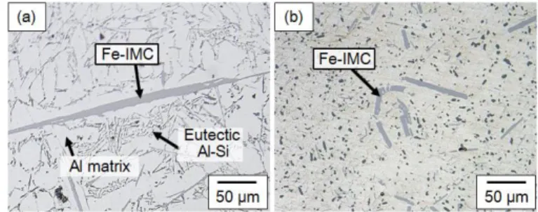 Fig. 1 Microstructures of Al-12Si-2Fe alloy; (a) as-cast  and (b) as-extruded. 