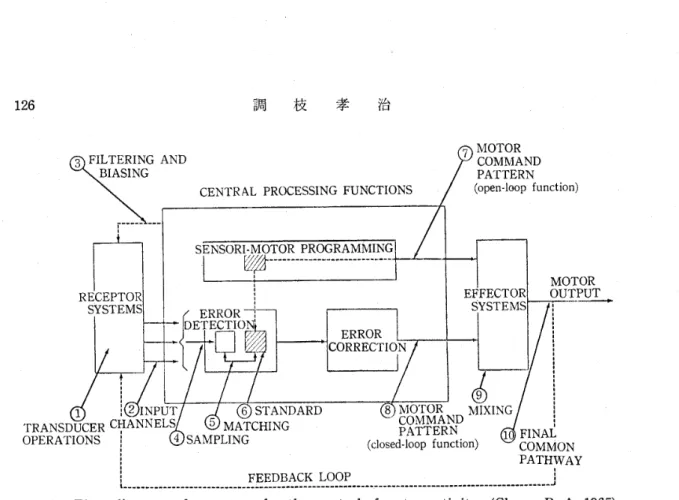 Fig. 1. Flow diagram of a system for the control of motor activity･ (Chase, R･A･ 1965)