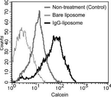 Fig. 4. EŠect of Fc Receptor Blocking on Uptake of IgG Liposome into DC
