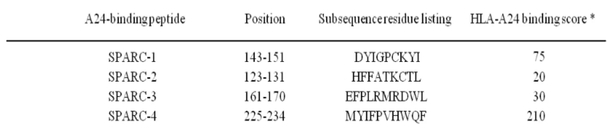 表 1.   ヒト SPARC 由来で HLA-A24 (HLA-A*2402)に親和性を有すると推測され るペプチドのリスト 