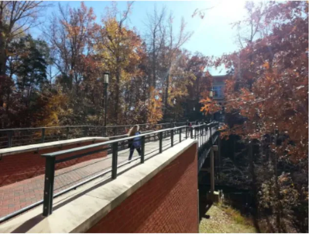 Fig. 1      Beautiful Wood-Bridge and Student Union