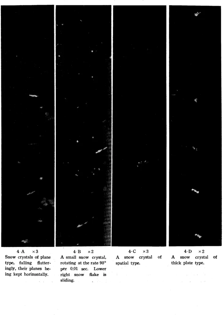 Fig. 4 Side views of snow crystals in falling state