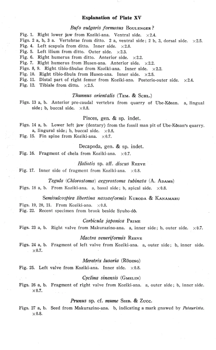 Fig. 1. Figs. 2 Fig. 4. Fig. 5. Fig. 6. Fig. 7. Figs. 8 Fig. 10 Fig. ll Fig. 12