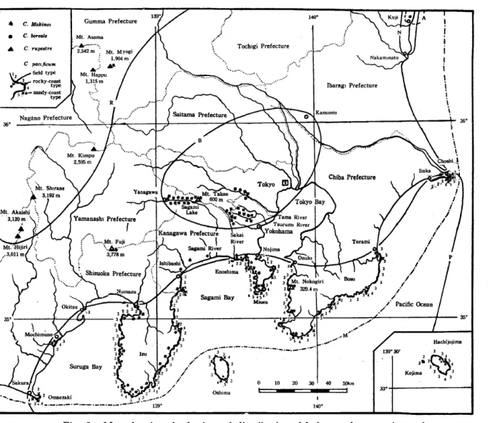 Fig. 2. Map showing the horizontal distribution of 6 cbrysantbemums in south‑